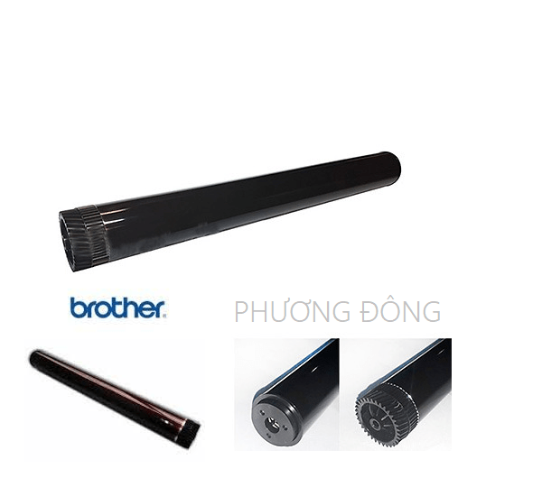 Trống máy in Brother HL-L2366DW